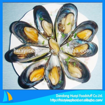 hot-selling on overseas market frozen half shell mussels